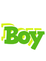 Boy picnic logo