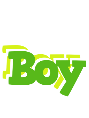 Boy picnic logo