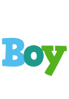 Boy rainbows logo