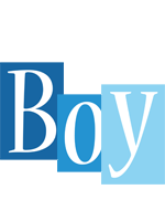 Boy winter logo