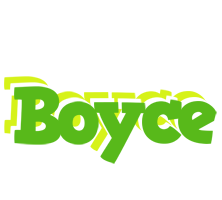 Boyce picnic logo