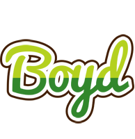 Boyd golfing logo