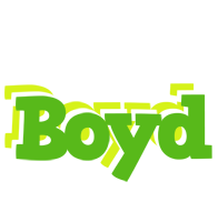 Boyd picnic logo