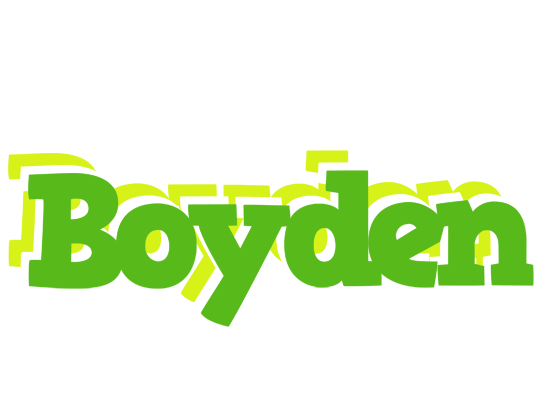 Boyden picnic logo