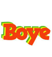 Boye bbq logo