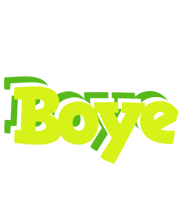 Boye citrus logo