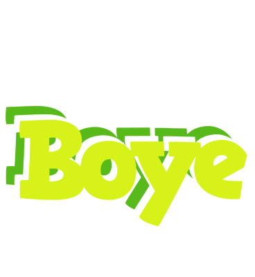 Boye citrus logo