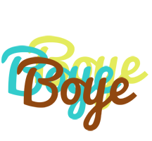 Boye cupcake logo