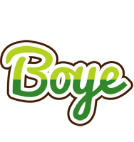 Boye golfing logo