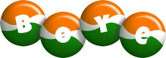 Boye india logo