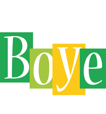 Boye lemonade logo