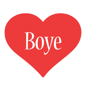 Boye love logo