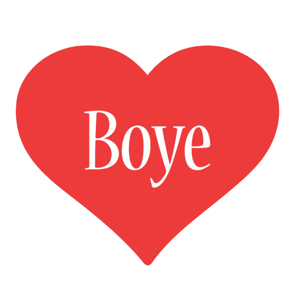 Boye love logo