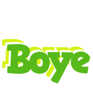 Boye picnic logo