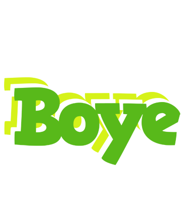 Boye picnic logo