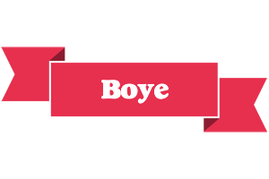 Boye sale logo