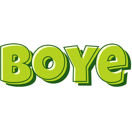 Boye summer logo