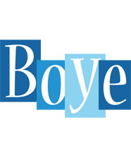 Boye winter logo