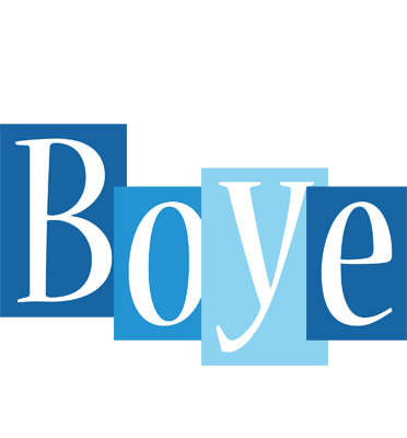 Boye winter logo