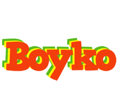 Boyko bbq logo