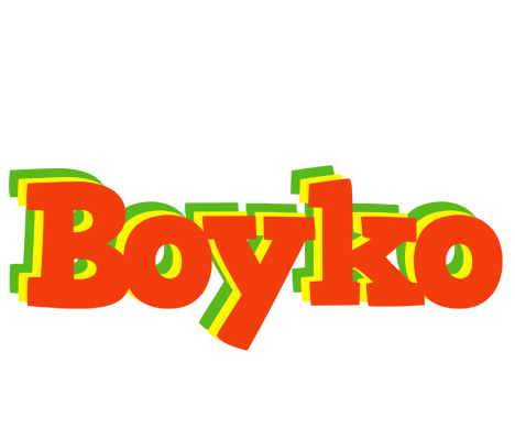 Boyko bbq logo