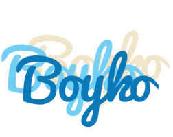 Boyko breeze logo