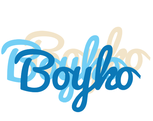Boyko breeze logo