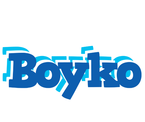 Boyko business logo