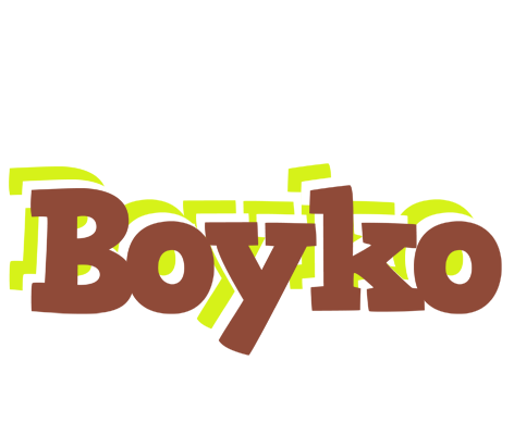 Boyko caffeebar logo