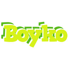 Boyko citrus logo