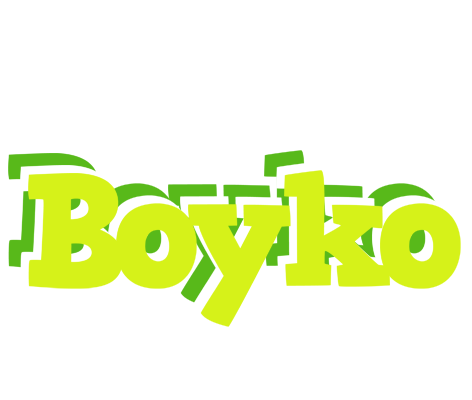 Boyko citrus logo
