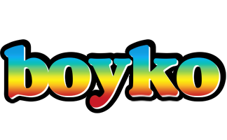 Boyko color logo