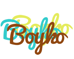 Boyko cupcake logo