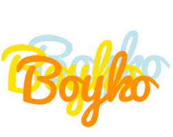 Boyko energy logo