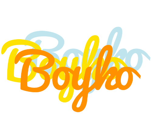 Boyko energy logo