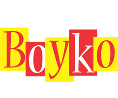 Boyko errors logo