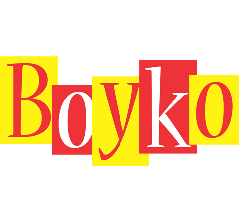 Boyko errors logo