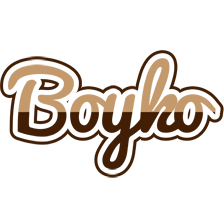 Boyko exclusive logo