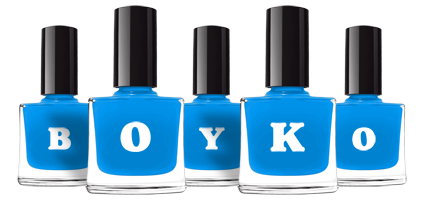 Boyko glossy logo