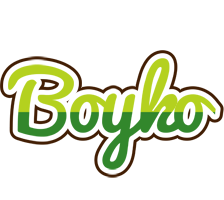 Boyko golfing logo