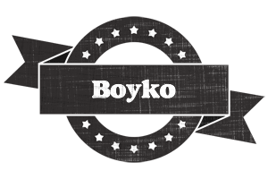 Boyko grunge logo