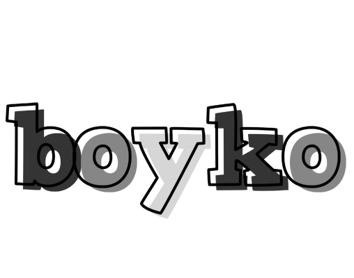 Boyko night logo