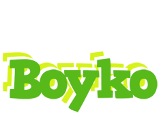 Boyko picnic logo