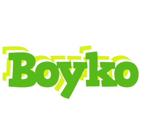 Boyko picnic logo