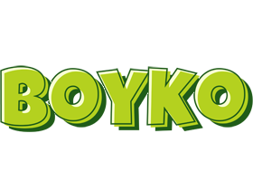 Boyko summer logo