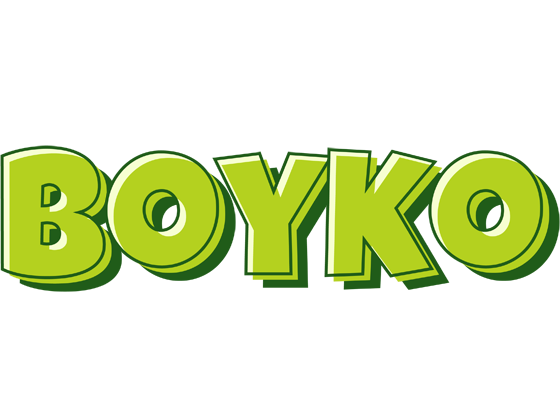 Boyko summer logo