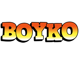 Boyko sunset logo