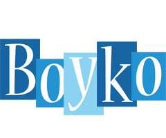 Boyko winter logo