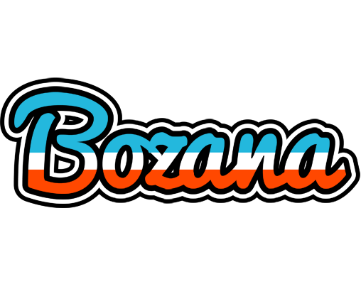 Bozana america logo