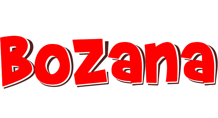 Bozana basket logo